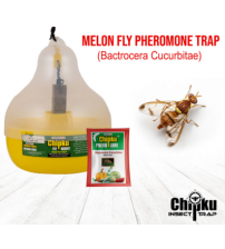 Chipku Pheromone Mac Phill Trap with Melon Fly Lure (Combo Pack of 5)